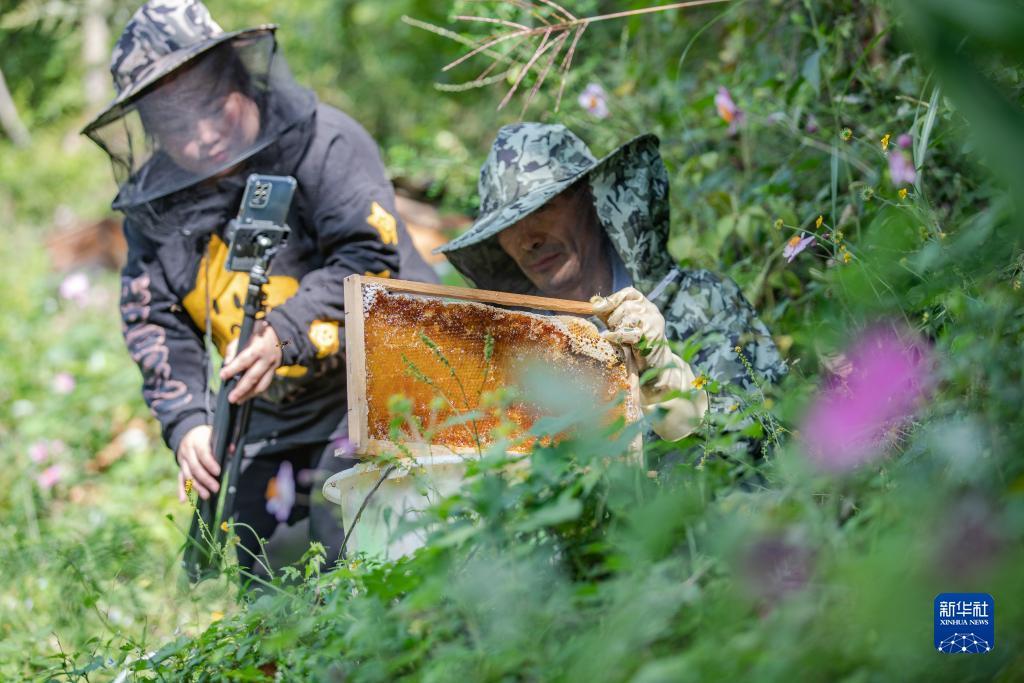 l2tp客户端软件